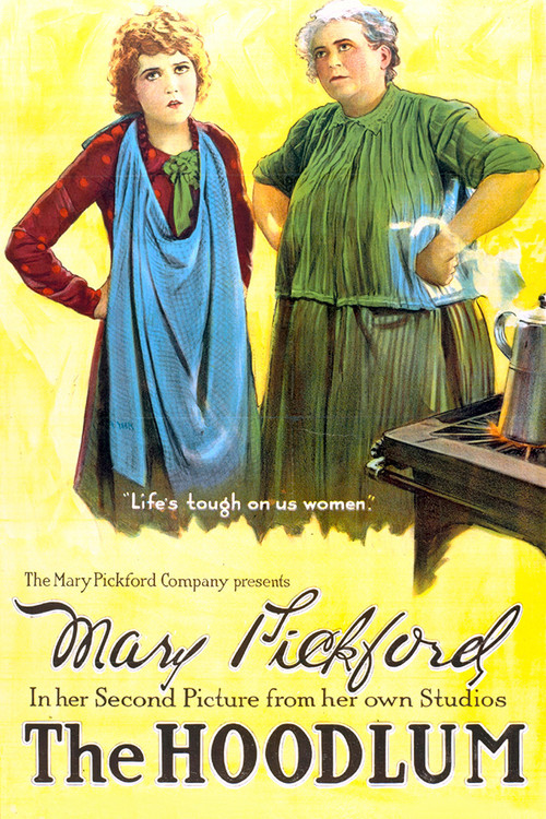 Movie poster for The Hoodlum (1919)