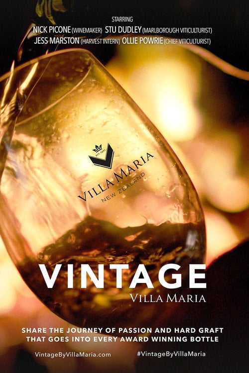 Movie poster for Vintage (2020)