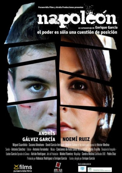 Movie poster for Napoleon (2013)