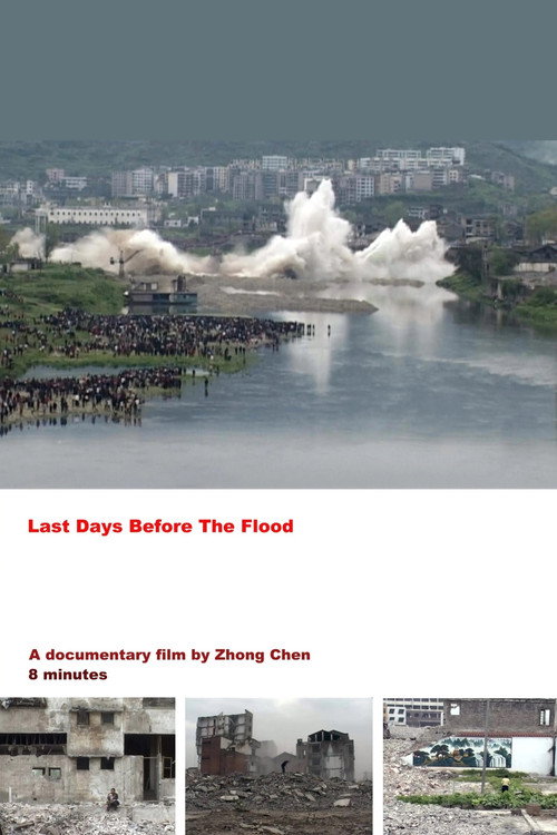 Movie poster for Last Days Before the Flood (2007)