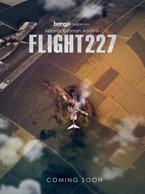 Movie poster for Flight 227