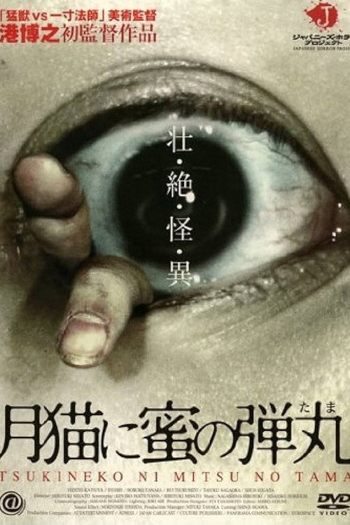 Movie poster for Tsukineko Ni Mitsu No Tama (2004)