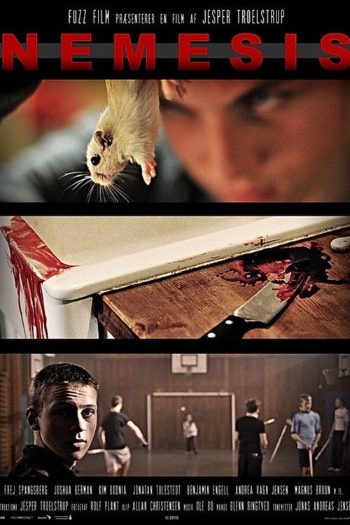 Movie poster for Nemesis (2010)
