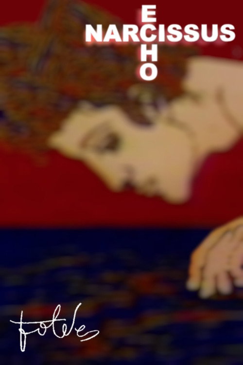 Movie poster for Narcissus-Echo (1971)