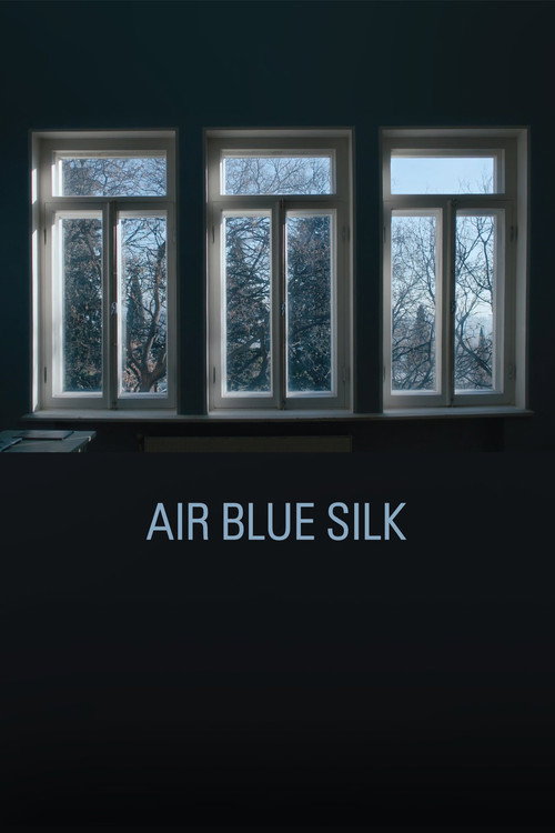 Movie poster for Air Blue Silk (2024)