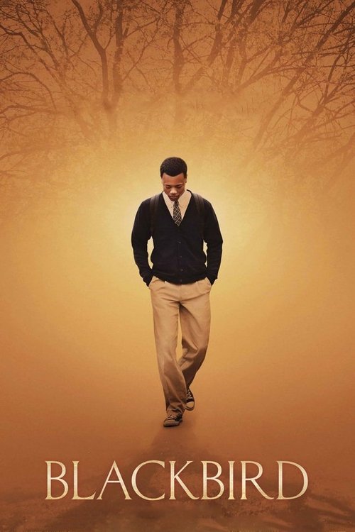 Movie poster for Blackbird (2014)
