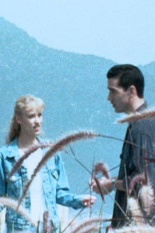 Movie poster for Internet Love (1998)