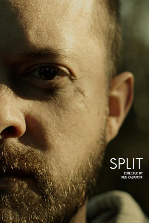 Movie poster for Split (2022)