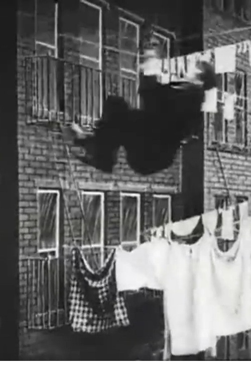 Movie poster for The Burglar's Slide for Life (1905)