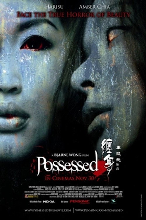 Movie poster for Possessed (2006)