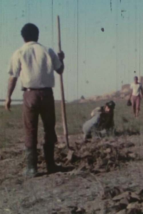 Movie poster for Poison River (1975)