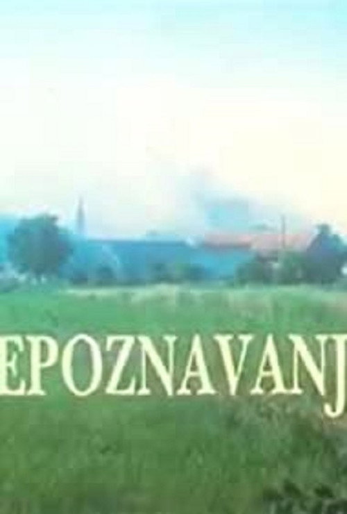 Movie poster for Recognition (1996)