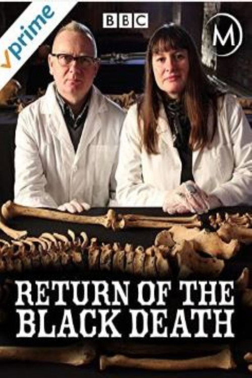 Movie poster for Return of the Black Death (2014)