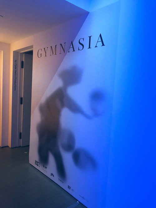 Movie poster for Gymnasia (2019)