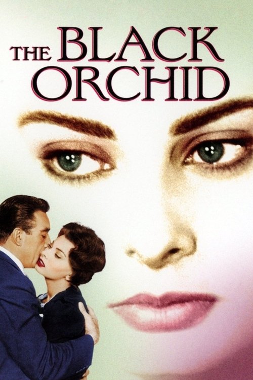 Movie poster for The Black Orchid (1959)