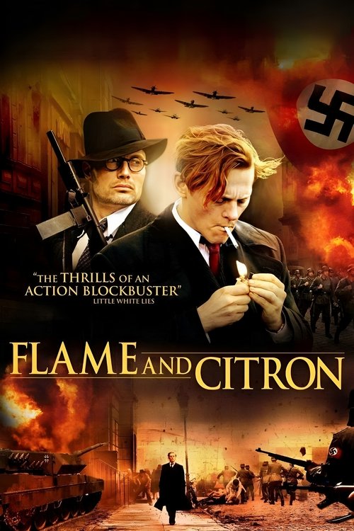 Movie poster for Flame & Citron (2008)