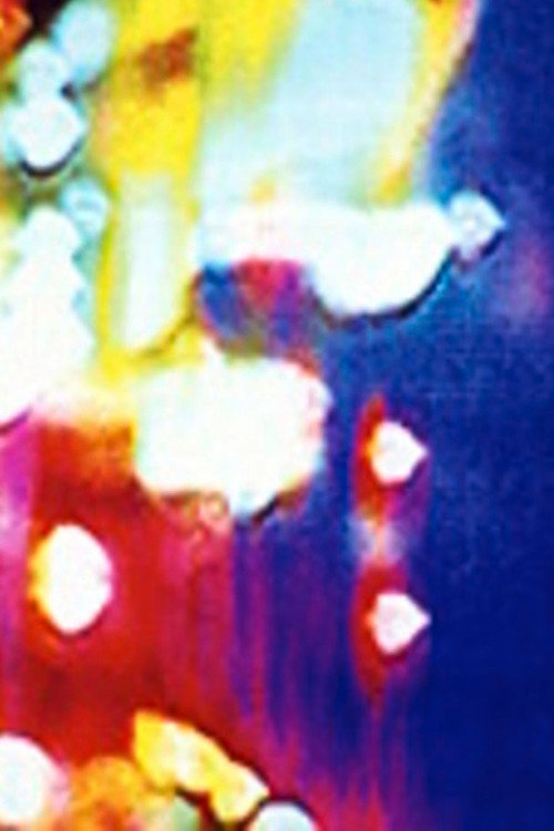 Movie poster for Las Vegas (2000)