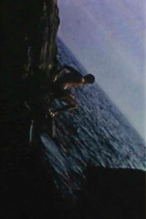 Movie poster for The Last Summer (1969)