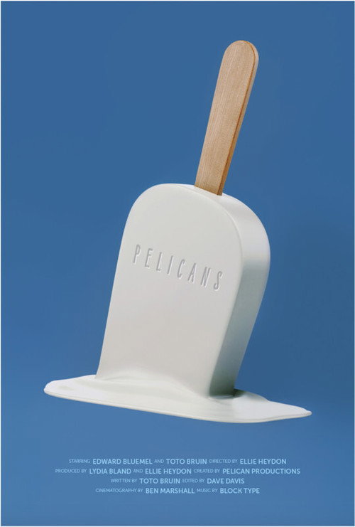 Movie poster for Pelicans