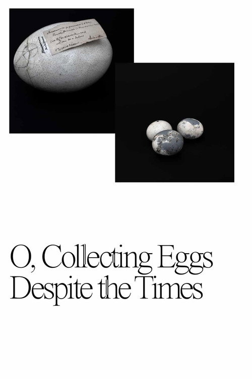 Movie poster for O, Collecting Eggs Despite the Times (2021)