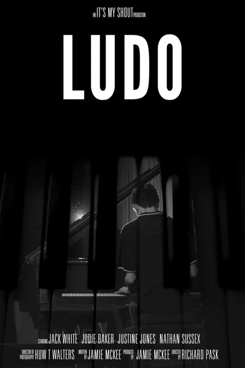 Movie poster for Ludo (2016)