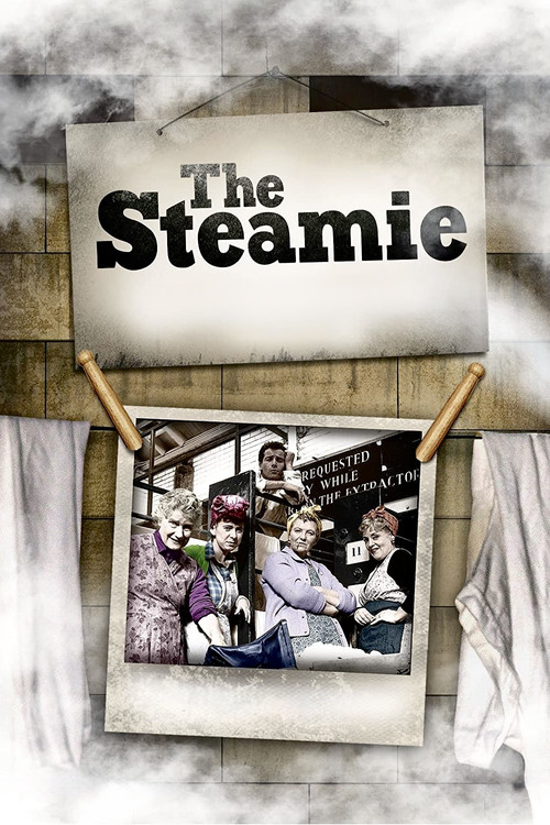Movie poster for The Steamie (1988)