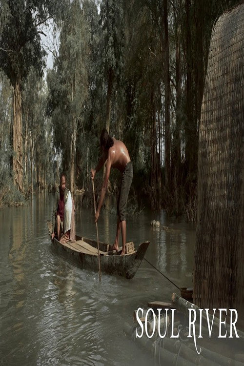 Movie poster for Soul River (2019)