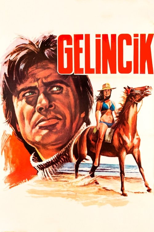 Movie poster for Gelincik (1978)