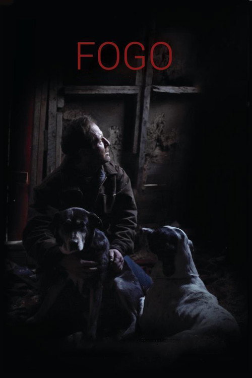 Movie poster for Fogo (2012)