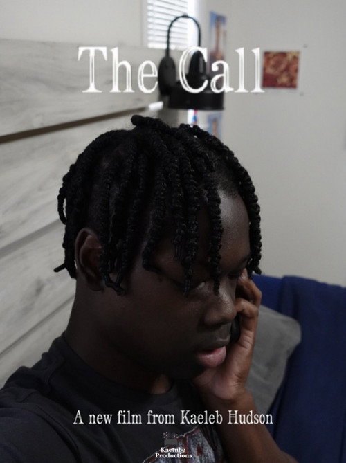 Movie poster for The Call