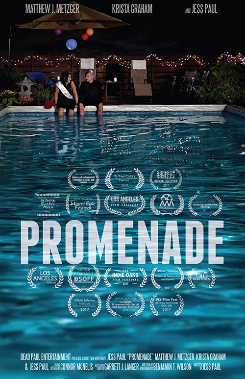 Movie poster for Promenade (2016)