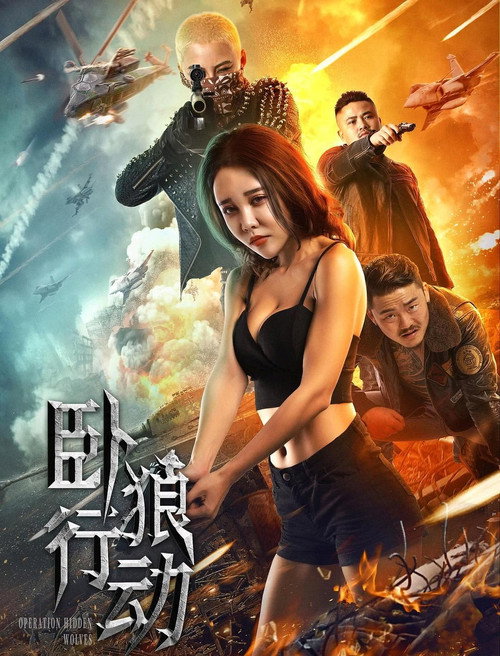 卧狼行动 poster