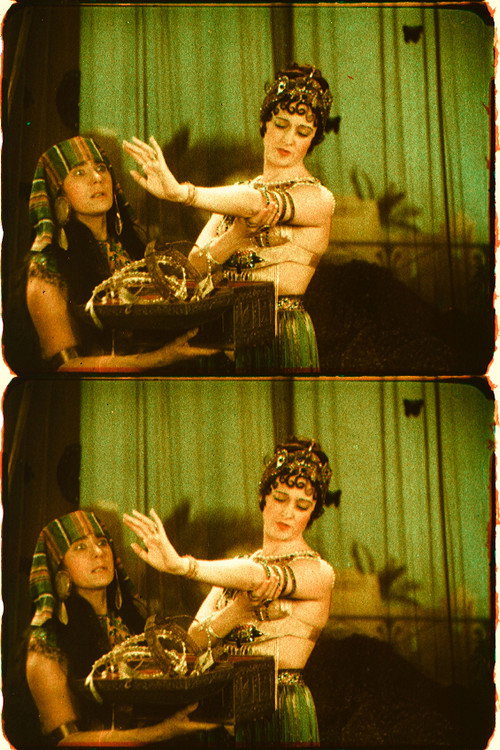 Movie poster for Cleopatra (1928)