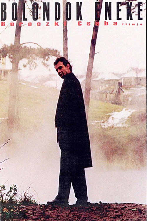 Movie poster for Fool's Song (2003)