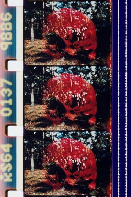 Movie poster for Sun Love (1967)