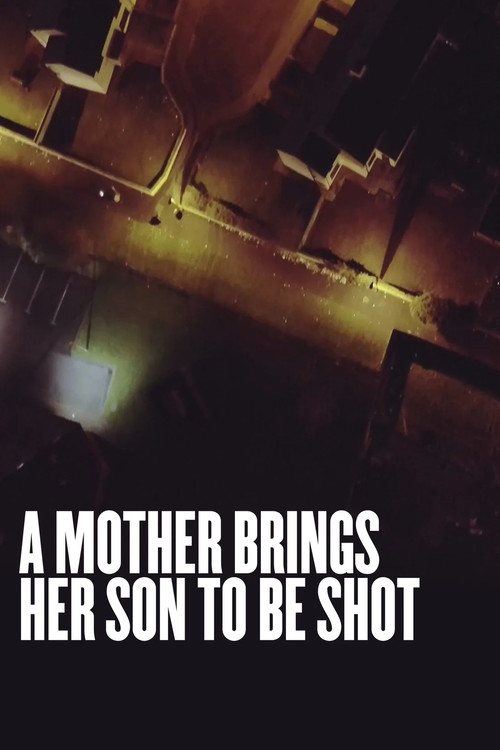 Movie poster for A Mother Brings Her Son to Be Shot (2017)