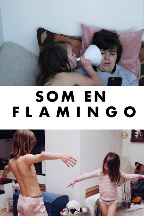 Movie poster for Som en flamingo (2020)