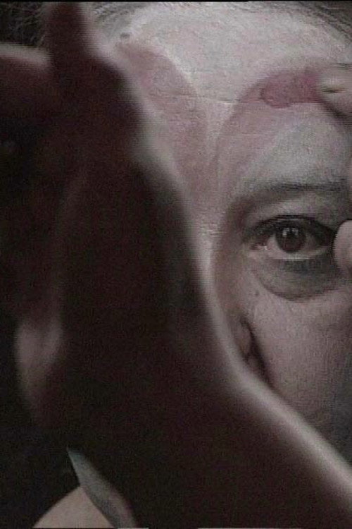 Movie poster for Portrait (1998)