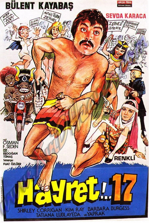 Movie poster for Hayret 17