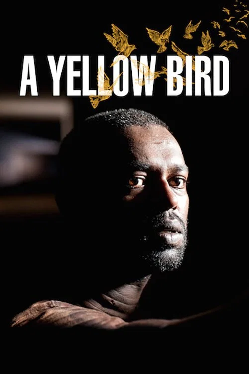 Movie poster for A Yellow Bird (2016)