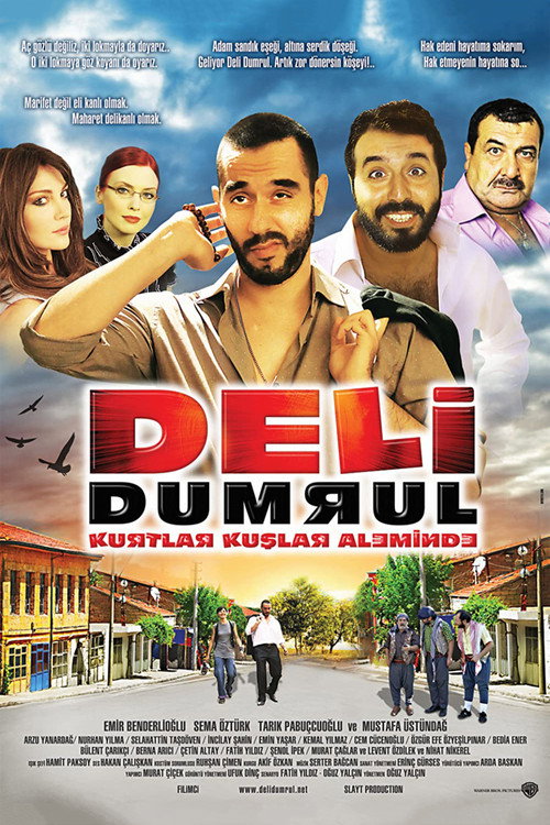 Movie poster for Deli Dumrul Kurtlar Kuşlar Aleminde (2009)