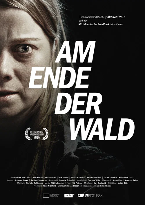 Movie poster for Am Ende der Wald (2016)
