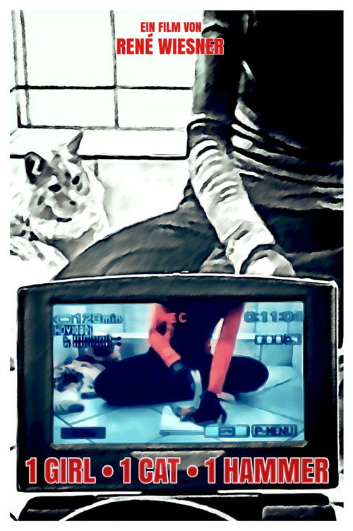 Movie poster for 1 Girl 1 Cat 1 Hammer (2020)