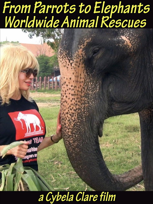 Movie poster for From Parrots to Elephants: Worldwide Animal Rescues
