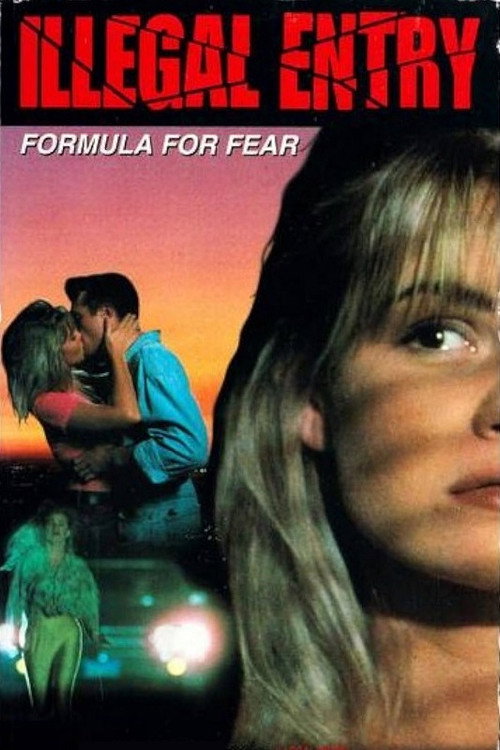 Movie poster for Illegal Entry: Formula for Fear (1993)