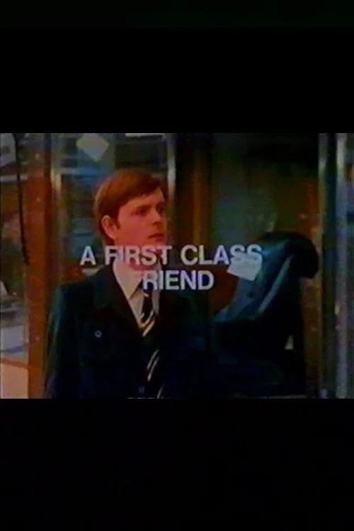 Movie poster for A First Class Friend (1974)