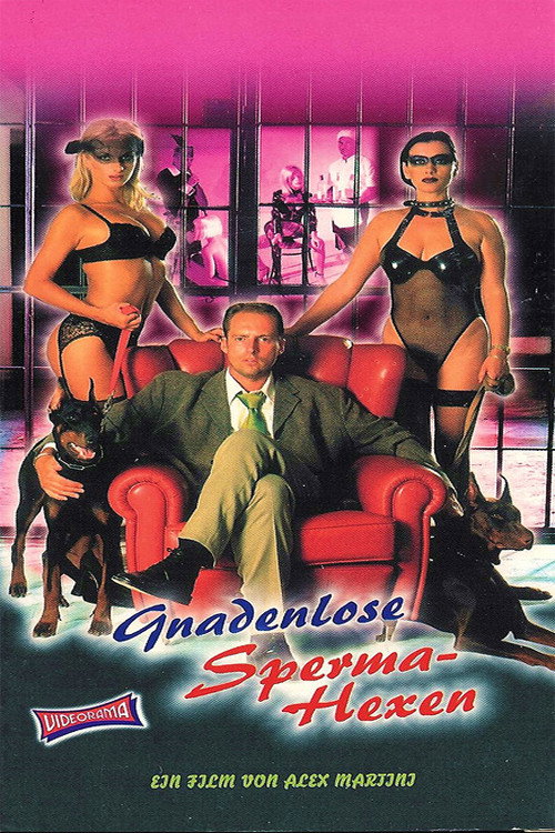 Movie poster for Le porte del desiderio (1998)