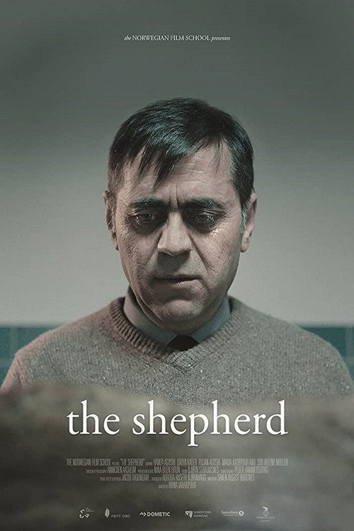 Movie poster for The Shepherd (2018)
