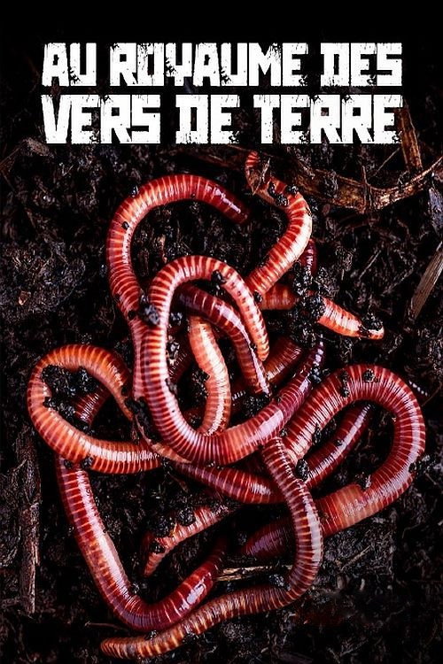 Movie poster for Au royaume des vers de terre : La vie du sol dévoilée (2023)