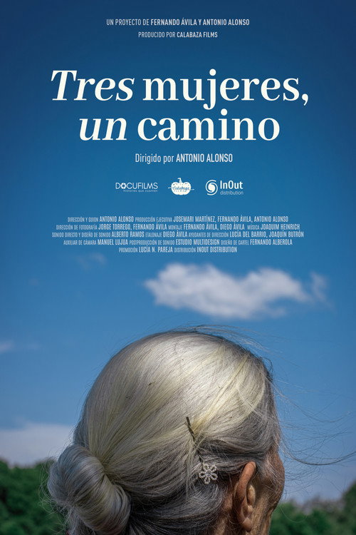 Movie poster for Tres mujeres, un camino